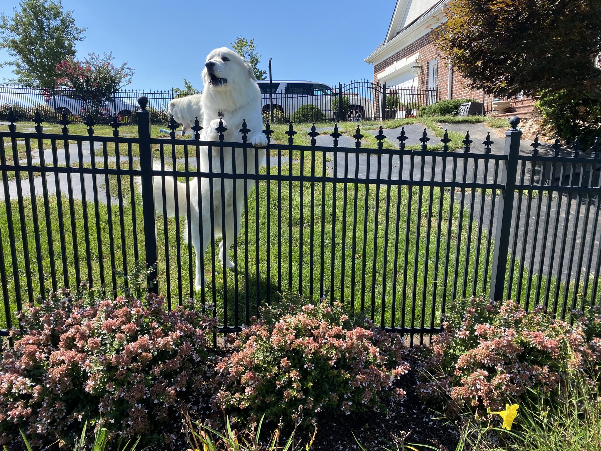 Home - Capital Fence