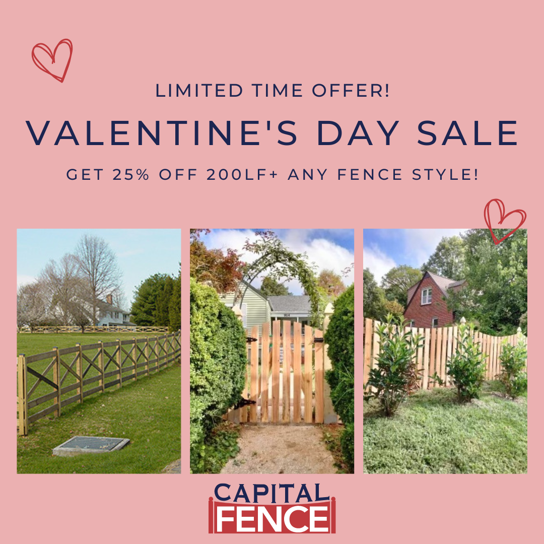 Capital Fence Valentine's Day Sale